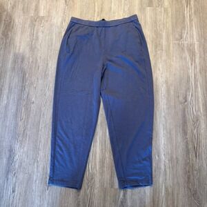 Eileen Fisher Womens Large Petite Organic Cotton Blend Pull On Pants Navy/Purple